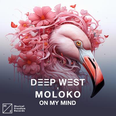 On My Mind By Deep West, Moloko's cover