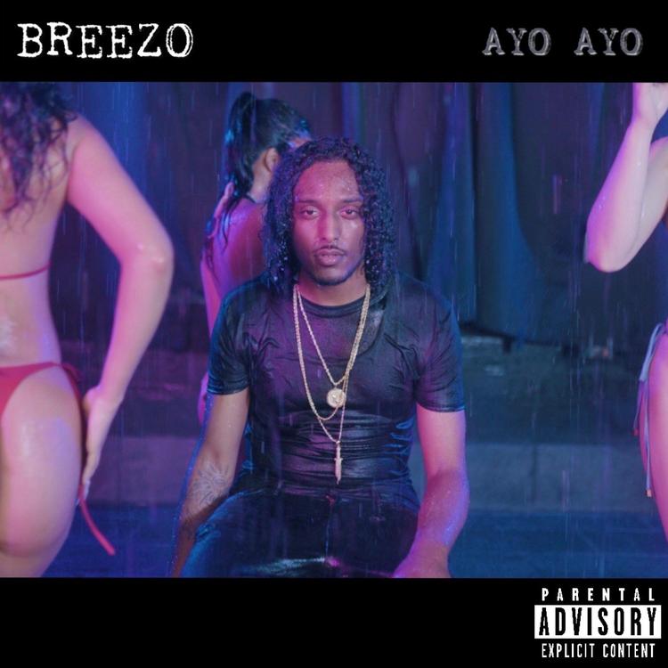 Breezo's avatar image