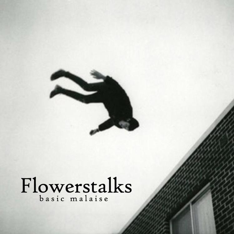 Flowerstalks's avatar image