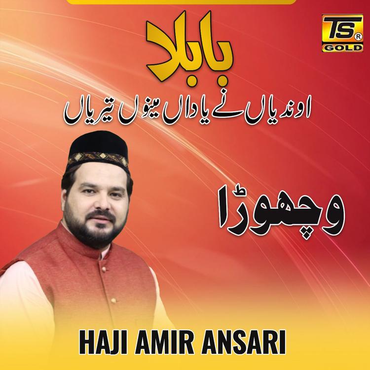 Haji Amir Ansari's avatar image