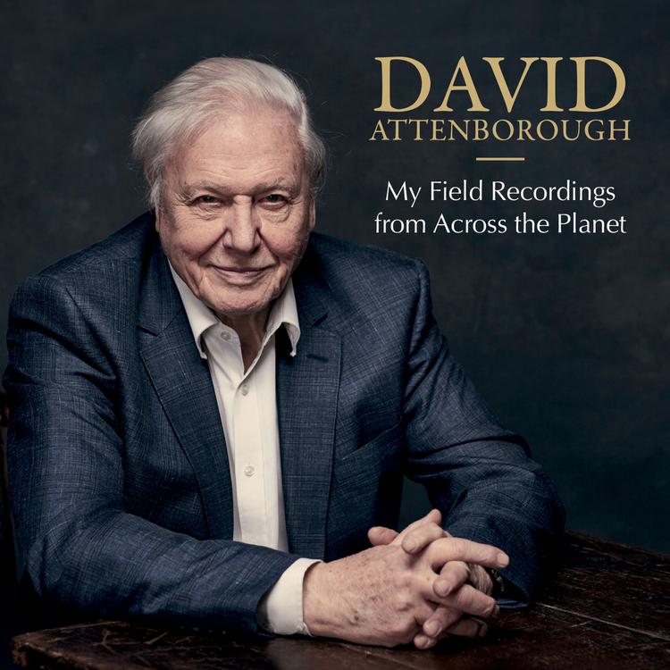 David attenborough's avatar image
