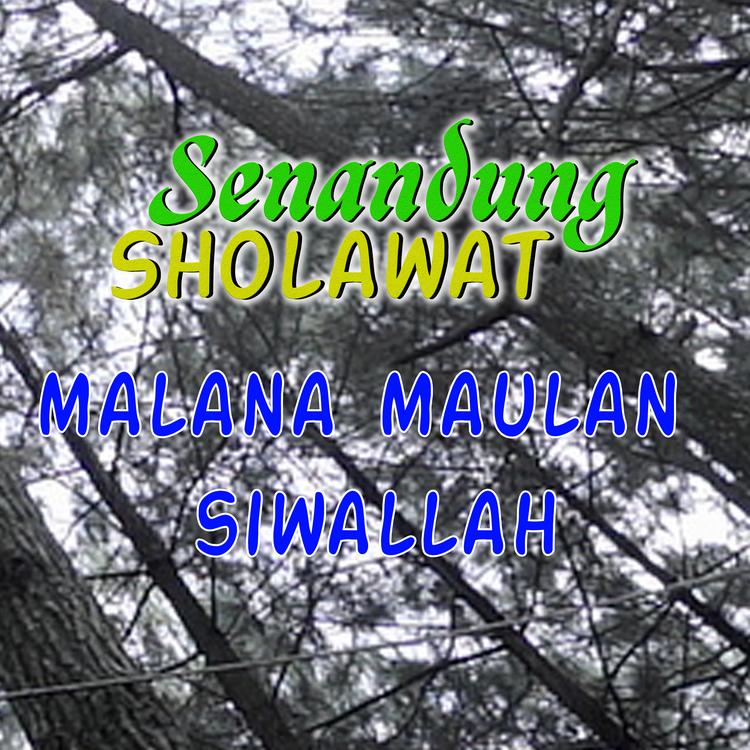 SENANDUNG SHOLAWAT's avatar image