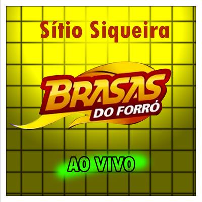 Vontade - Ao Vivo By Brasas Do Forró's cover