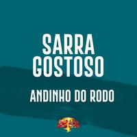Andinho do Rodo's avatar cover