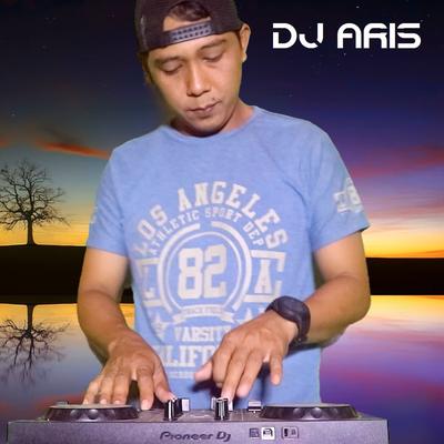 DJ Aris (Dangdut Remix)'s cover