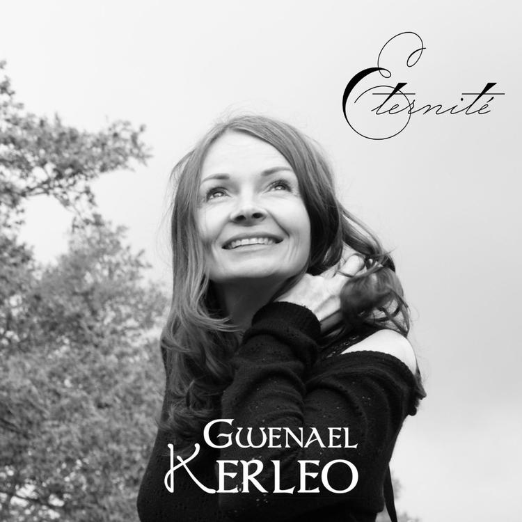 Gwenael Kerleo's avatar image