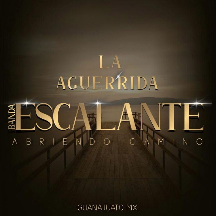 La aguerrida banda escalante's avatar image