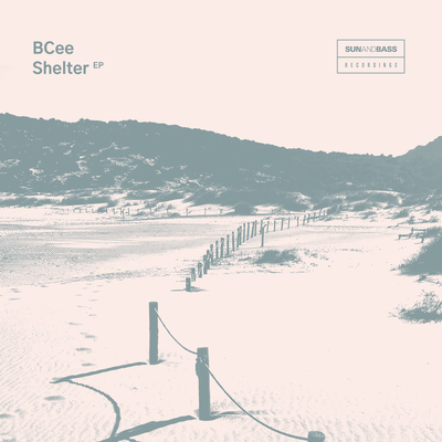 Shelter's cover