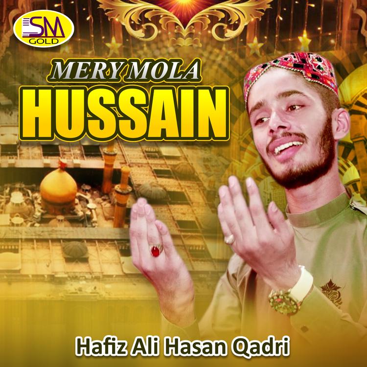 Hafiz Ali Hassan's avatar image