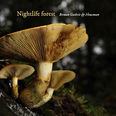 Nightlife forest By Rowan Guthrie, HousMan's cover