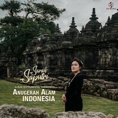 Anugerah Alam Indonesia (Instrumenal Harmonica)'s cover