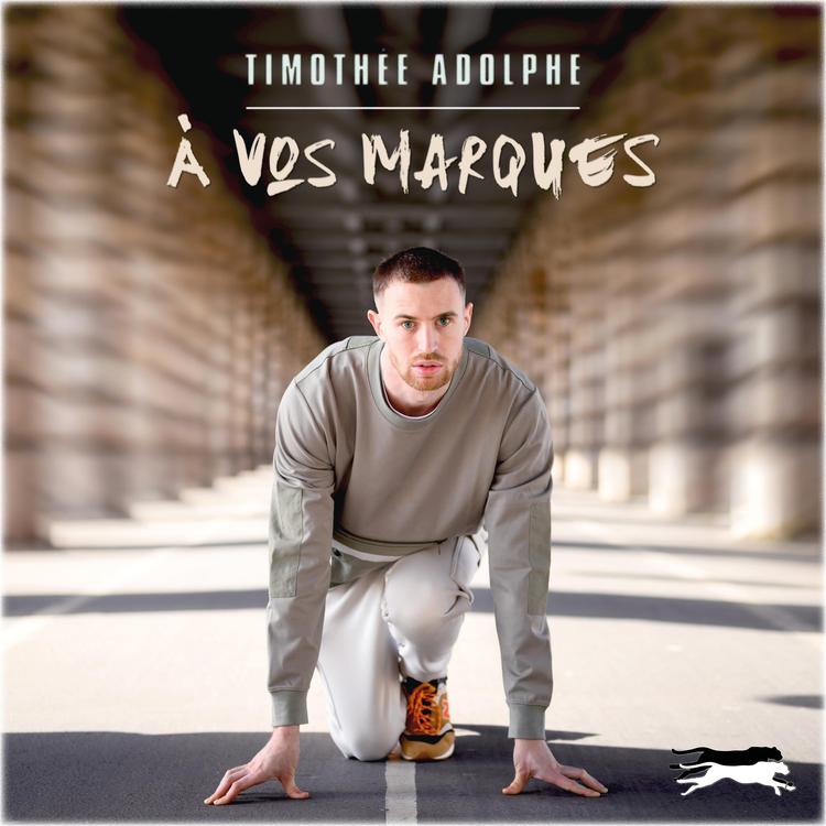 Timothée Adolphe's avatar image