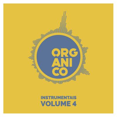 Tudo o Que Você Quiser (Instrumental) By Orgânico, Léo Casa 1's cover