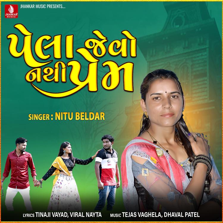 Nitu Beldar's avatar image