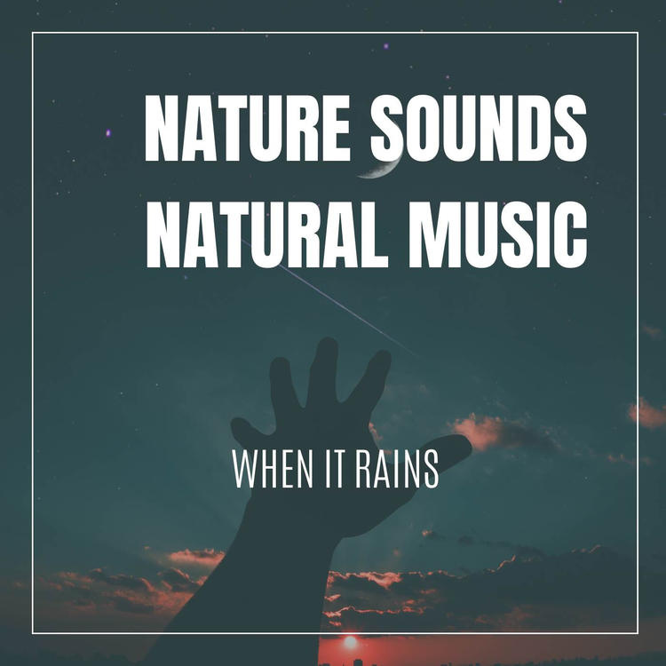 Nature Sounds Natural Music's avatar image