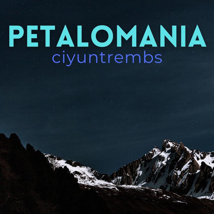 Petalomania's avatar image