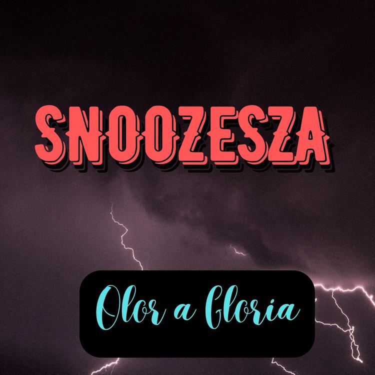 SNOOZESZA's avatar image