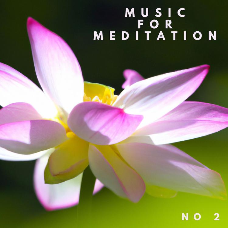 Music for Meditation's avatar image