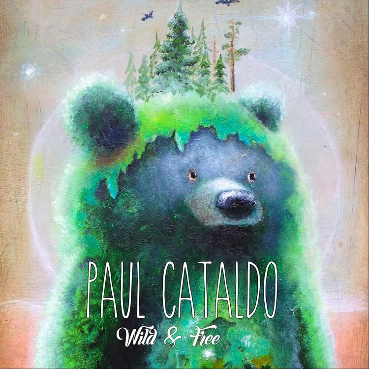 Paul Cataldo's avatar image