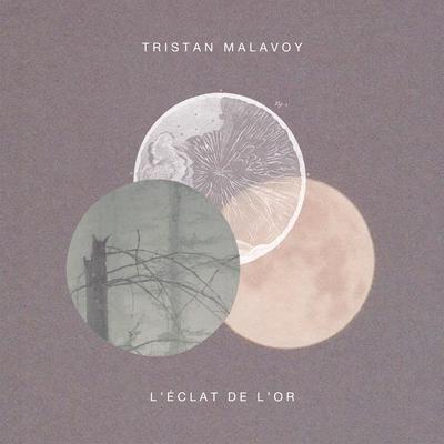 Tristan Malavoy's cover