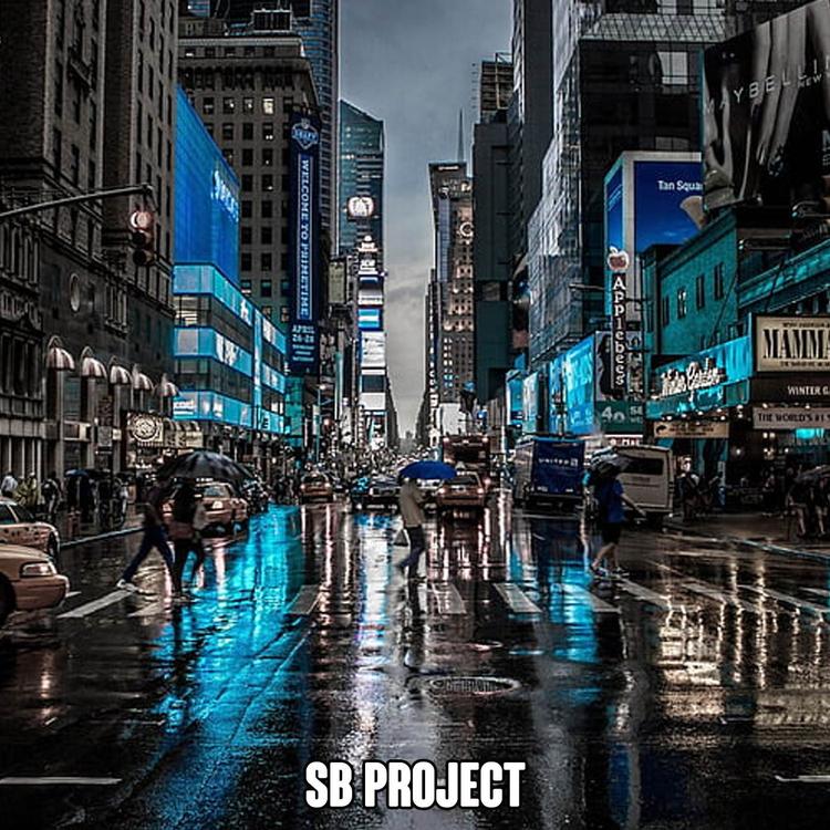 SB Project's avatar image