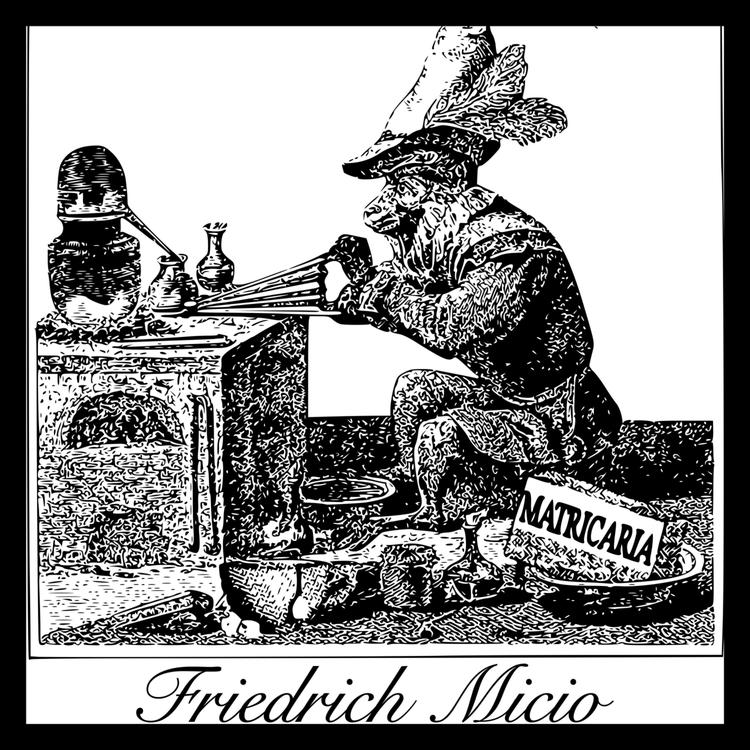 Friedrich Micio's avatar image