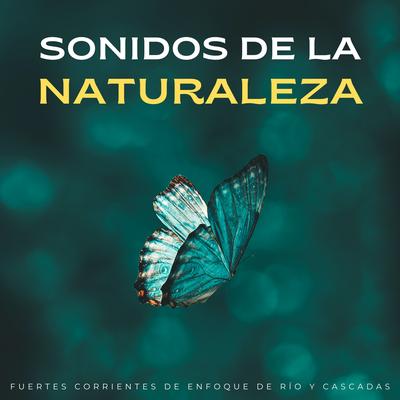 Tranquila Energía De Cascada By Sonido de cascada, Música para Focus Vibes, Música para Concentrarse Radio's cover