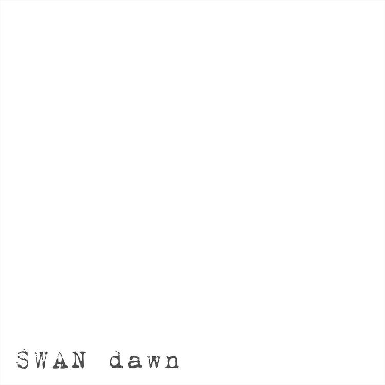 SWAN's avatar image