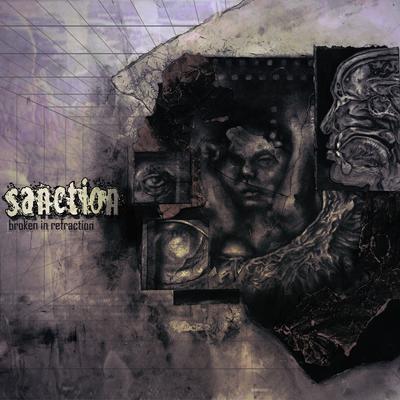 Paralysis By Sanction's cover