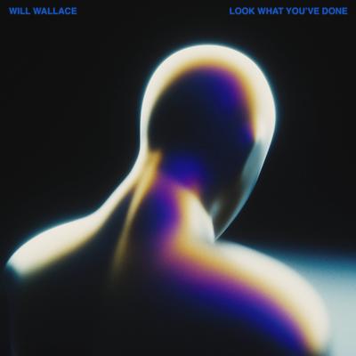 Look What You've Done By Will Wallace's cover