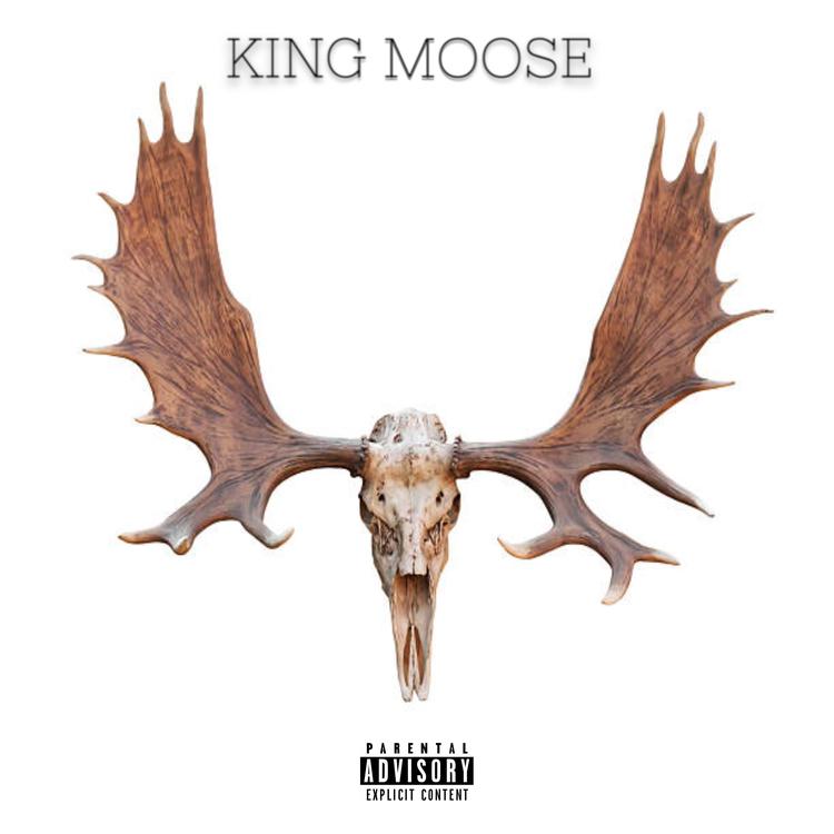 King Moose's avatar image