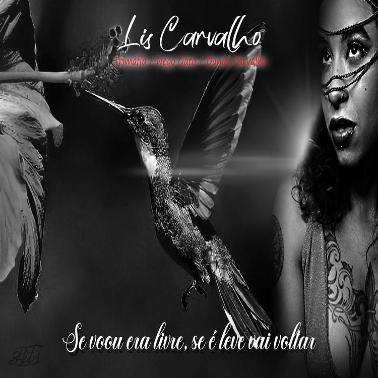 Lis Carvalho's avatar image