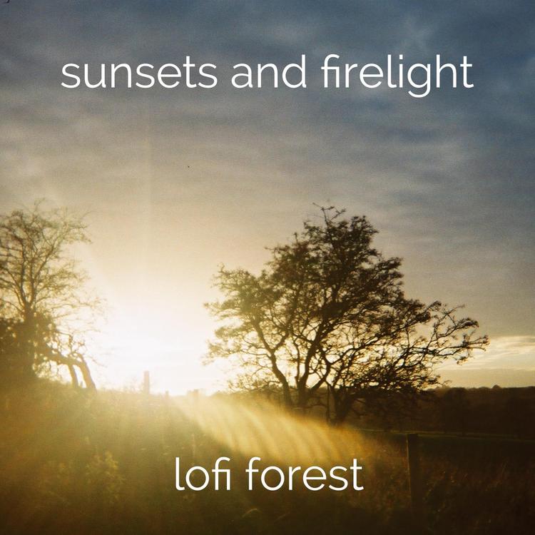 Lofi Forest's avatar image
