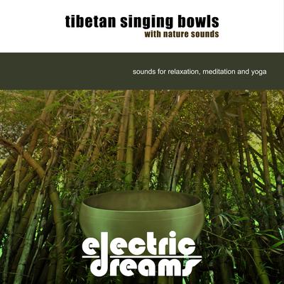 Meditation Beach By Electric Dreams's cover