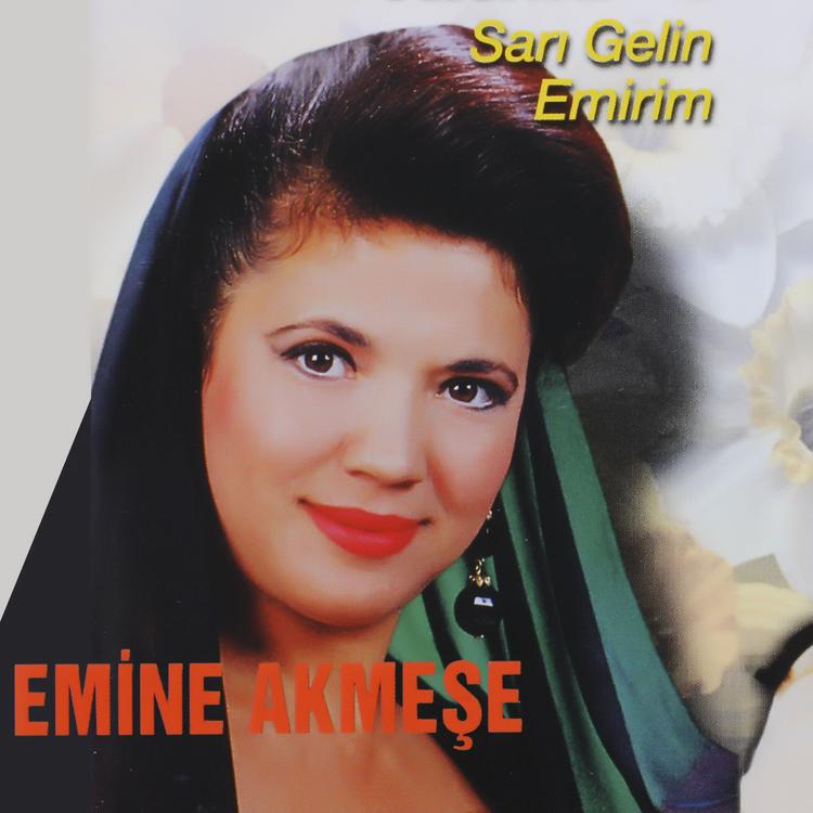 Emine Akmeşe's avatar image