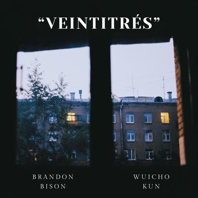 Veintitrés's cover