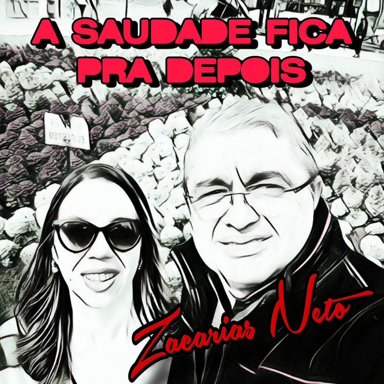 ZACARIAS NETO's avatar image