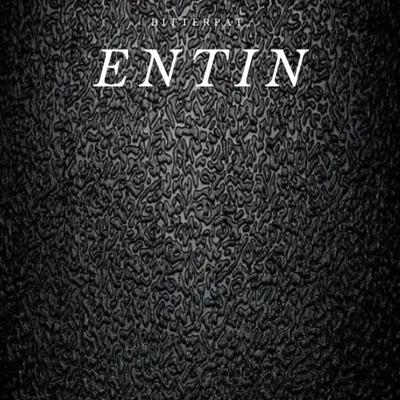 ENTIN's cover