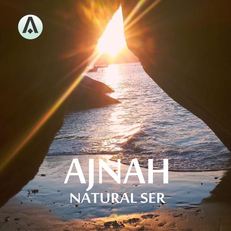Ajnah's avatar image