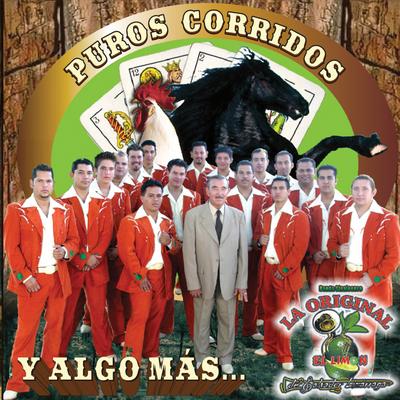 Puros Corridos y Algo Mas's cover