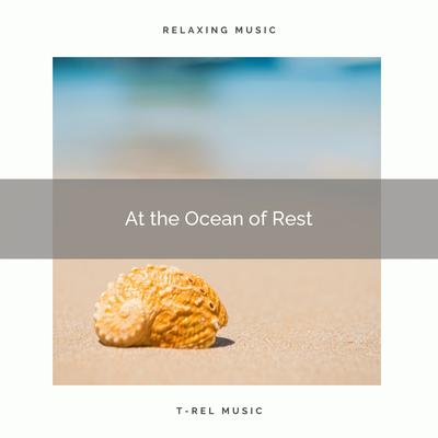Music of Wild Sea for Uninterrupted Rest pt. 2's cover