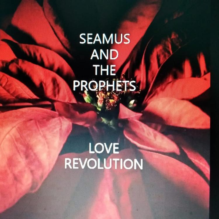 SEAMUS AND THE PROPHETS's avatar image