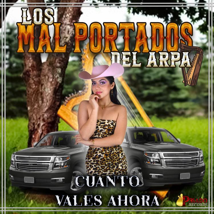 Los Mal Portados Del Arpa's avatar image