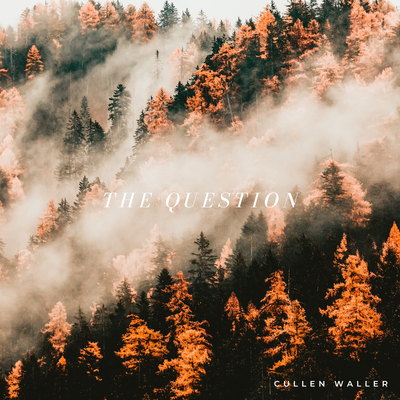 The Question By Cullen Waller's cover