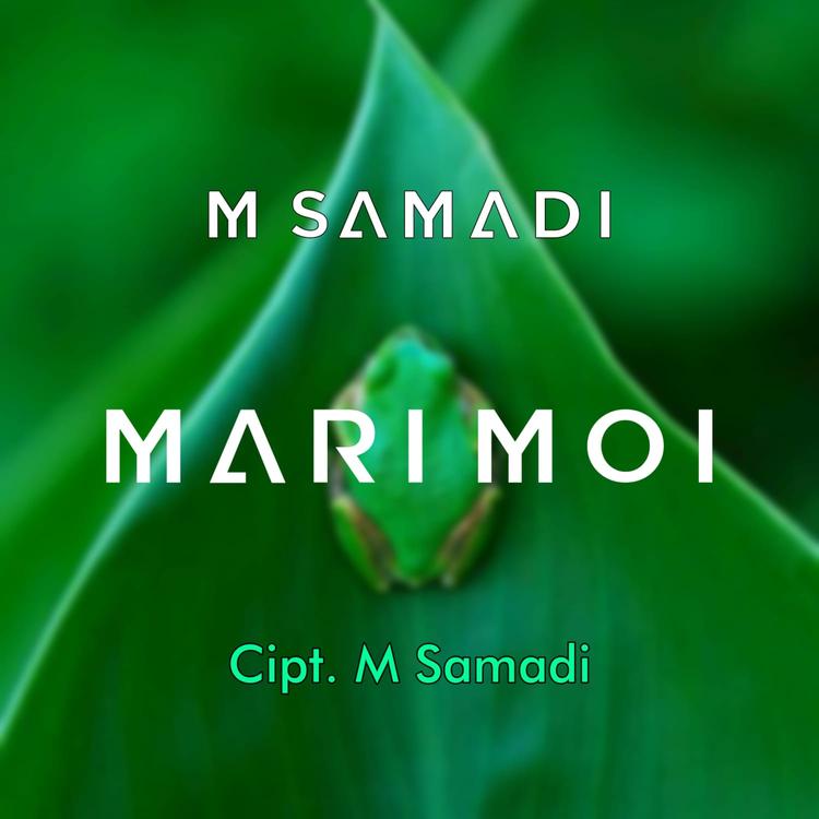 M.Samadi's avatar image