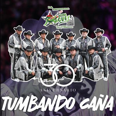 Tumbando Caña (Versión 30 Aniversario)'s cover