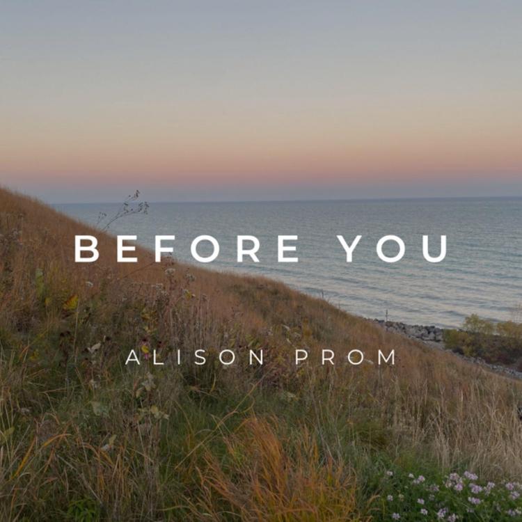 Alison Prom's avatar image