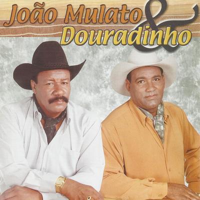 Paulista De Fibra By João Mulato e Douradinho's cover