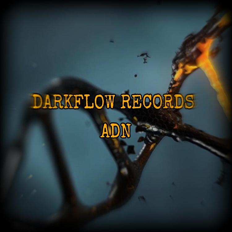 Darkflow Records's avatar image