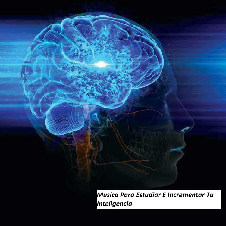 Para Estudiar E Incrementar Tu Inteligencia's avatar image